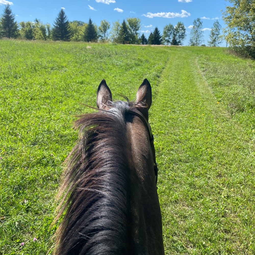 Meet your Posher, Emily
